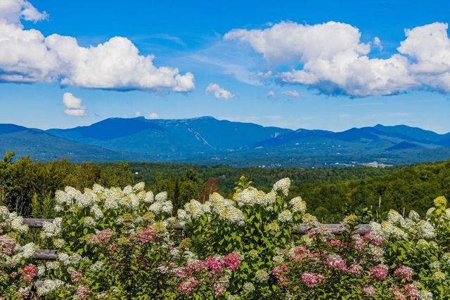 675 Putnam Forest Road, Stowe, VT 05672