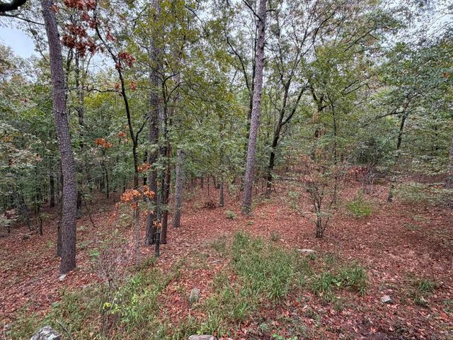 278 Mill Pond Road, Conway, AR 72034
