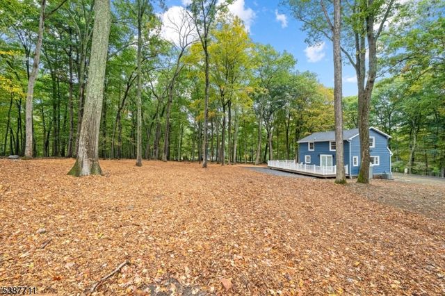 294 New Rd, Montague Twp., NJ 07827