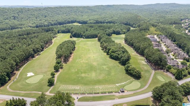 113 CARNOUSTIE DRIVE, Pelham, AL 35124