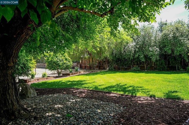 4345 Rose Lane, Concord, CA 94518