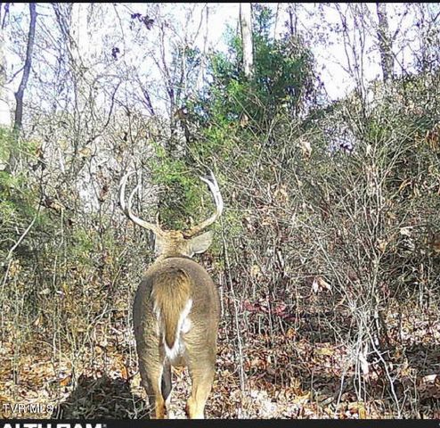 411 Saint James Road, Greeneville, TN 37743