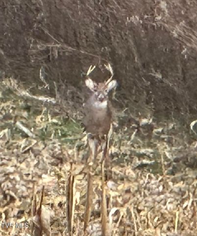 411 Saint James Road, Greeneville, TN 37743