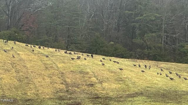 411 Saint James Road, Greeneville, TN 37743