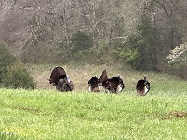 411 Saint James Road, Greeneville, TN 37743