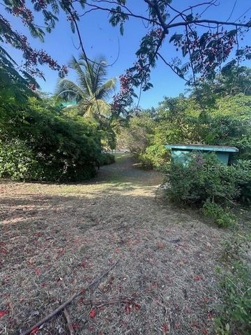 299 BRAVOS DE BOSTON, Vieques, PR 00765