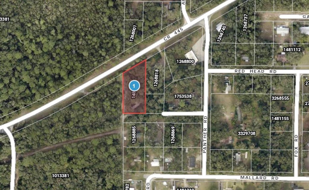 44748 BALDPATE ROAD, Altoona, FL 32702