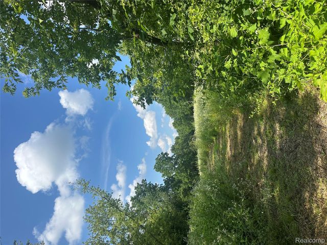 VL Lakeview Park Drive, Fenton, MI 48430