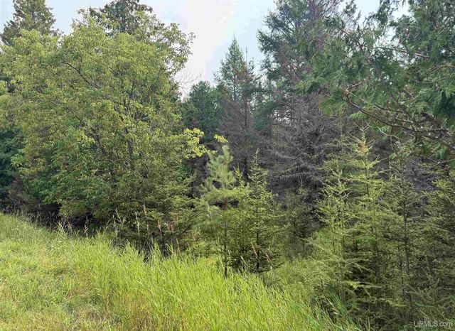 TBD County 503 Cc Road, Rapid River, MI 49878