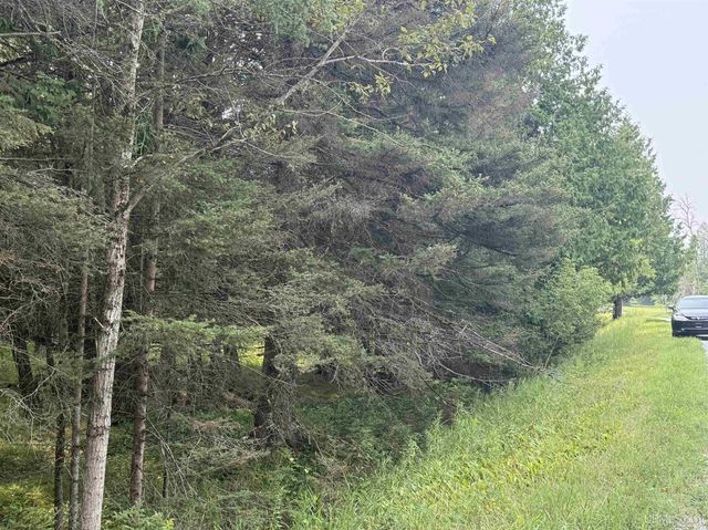 TBD County 503 Cc Road, Rapid River, MI 49878
