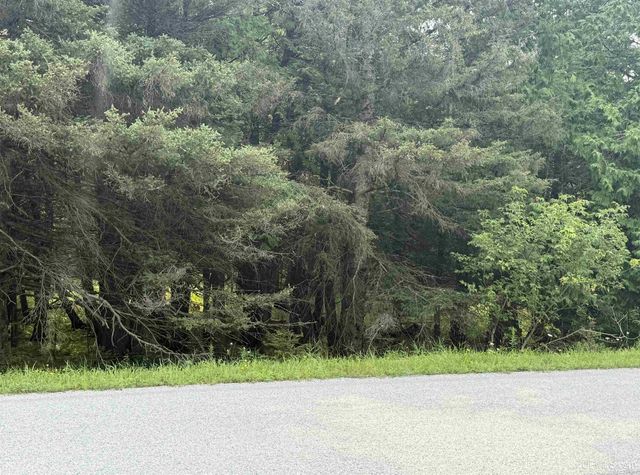 TBD County 503 Cc Road, Rapid River, MI 49878