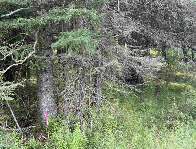 TBD County 503 Cc Road, Rapid River, MI 49878