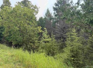TBD County 503 Cc Road, Rapid River, MI 49878