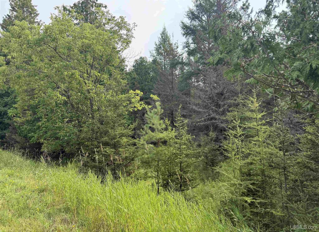 TBD County 503 Cc Road, Rapid River, MI 49878