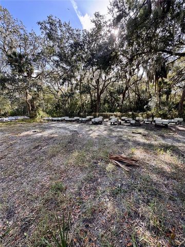 0 CLINTON CEMETERY RD., Edgewater, FL 32141