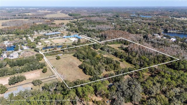 11560 TARPON SPRINGS, Odessa, FL 33556