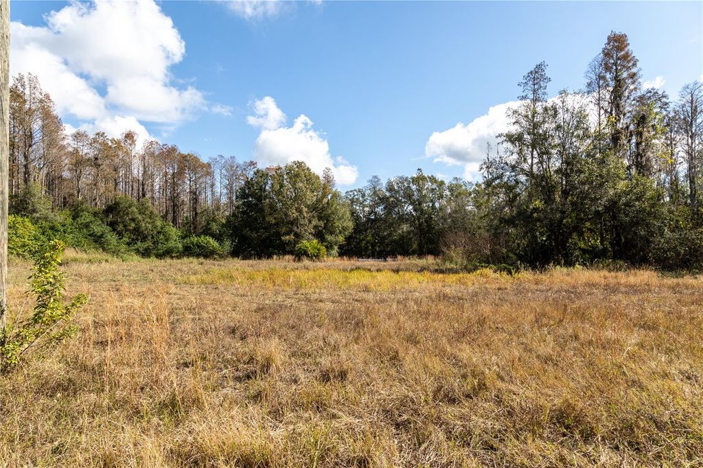 Image 11 of property listing at 11560 TARPON SPRINGS, Odessa, FL 33556