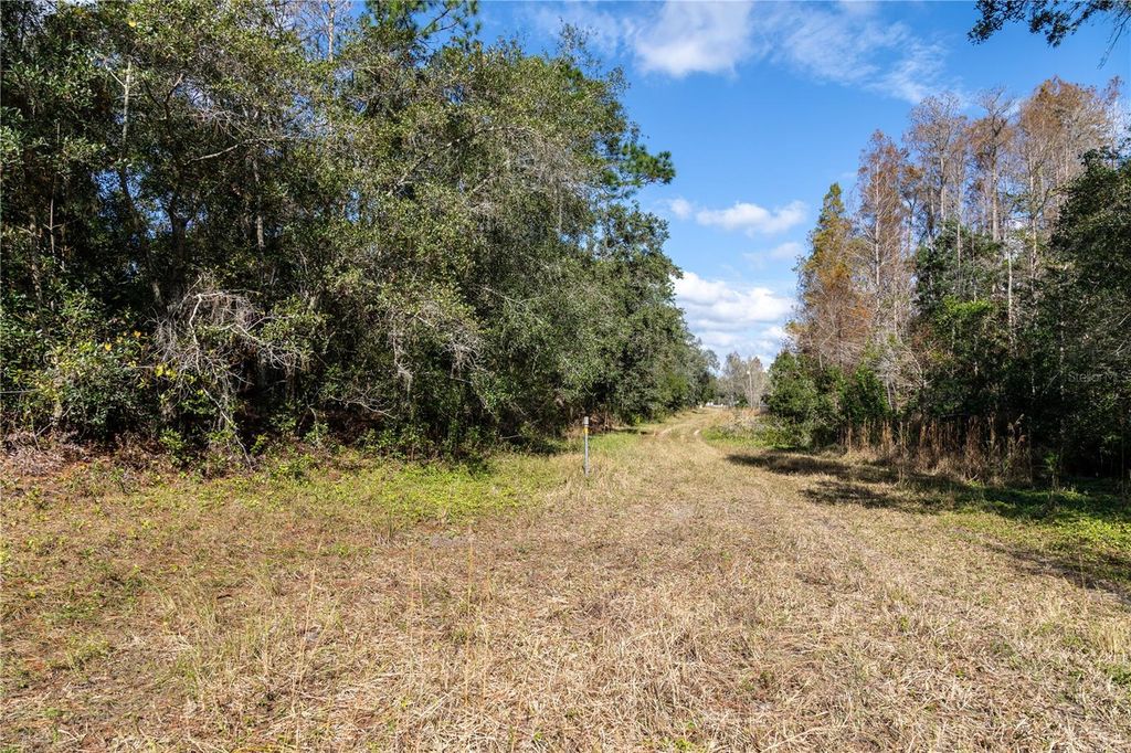 Image 13 of property listing at 11560 TARPON SPRINGS, Odessa, FL 33556