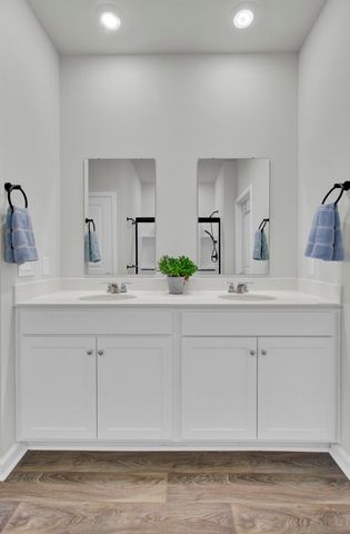 256 Sweet Cherry Lane, Summerville, SC 29486