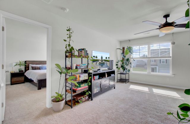 256 Sweet Cherry Lane, Summerville, SC 29486