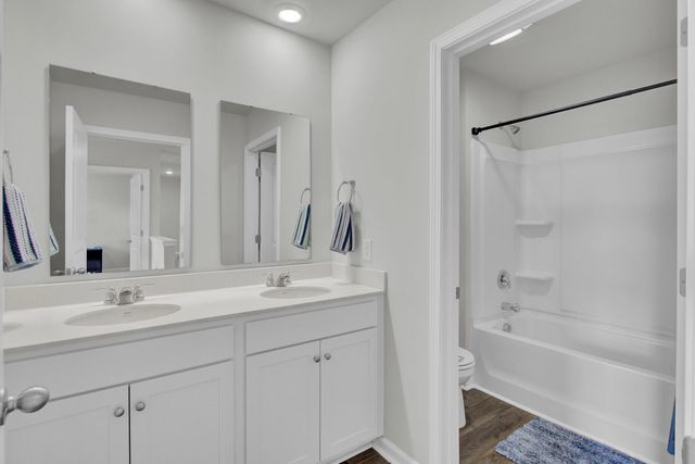 256 Sweet Cherry Lane, Summerville, SC 29486