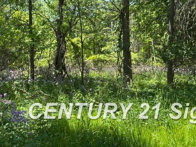 0 Sawmill Boulevard, Saginaw Twp, MI 48603