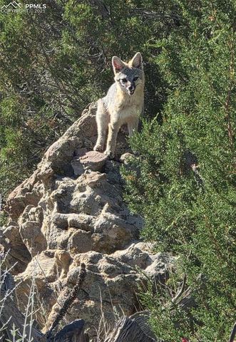 18461 Highway 115, Penrose, CO 81240