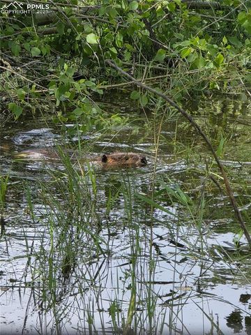 18461 Highway 115, Penrose, CO 81240