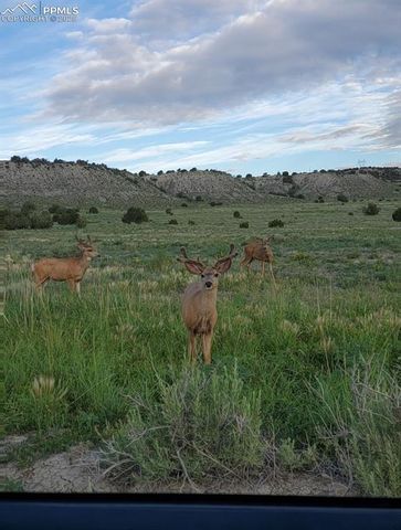 18461 Highway 115, Penrose, CO 81240