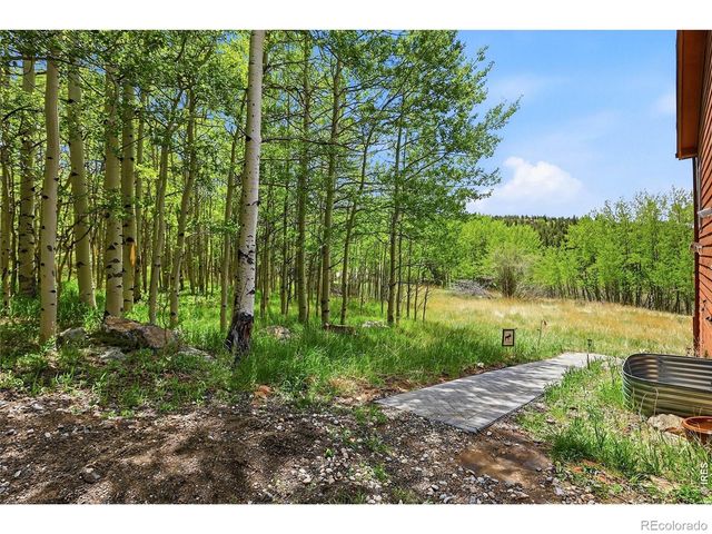 208 Howe Court, Black Hawk, CO 80422
