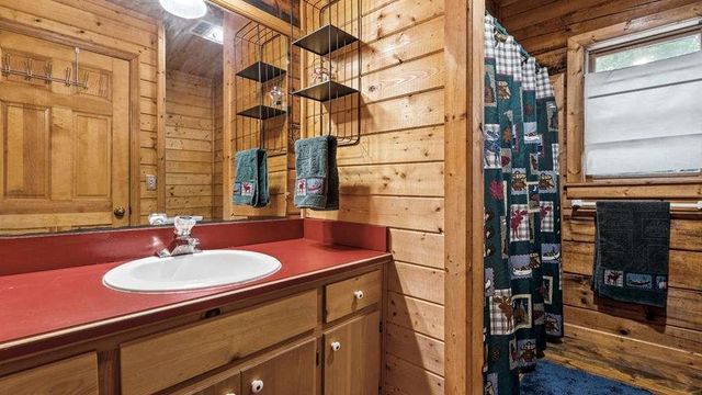 390 Butler Creek Road, Cherry Log, GA 30522