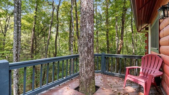 390 Butler Creek Road, Cherry Log, GA 30522