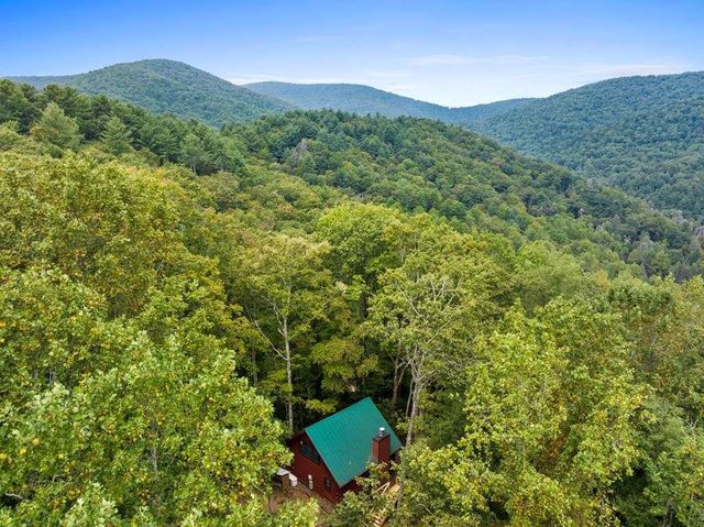 390 Butler Creek Road, Cherry Log, GA 30522