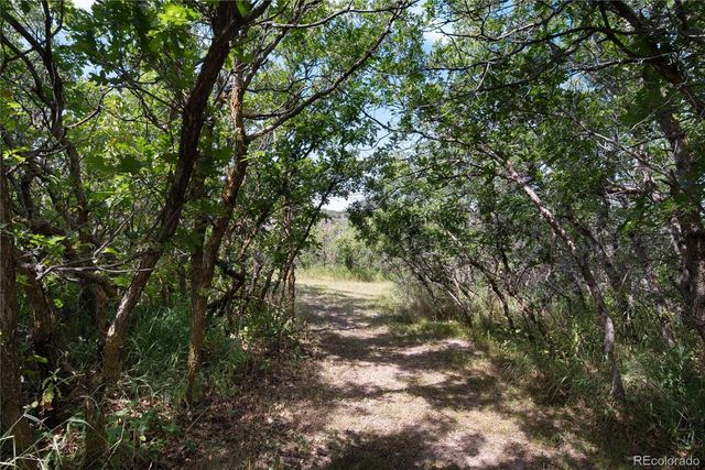 3823 Castle Butte, Castle Rock, CO 80109