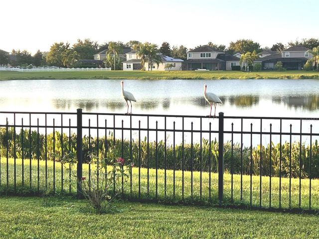 13226 JERVEY STREET, Windermere, FL 34786