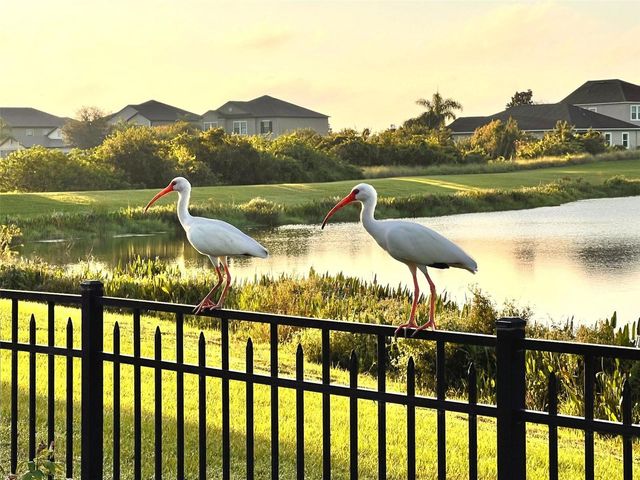 13226 JERVEY STREET, Windermere, FL 34786