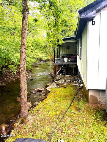 4445 Liberty Road, Cosby, TN 37722