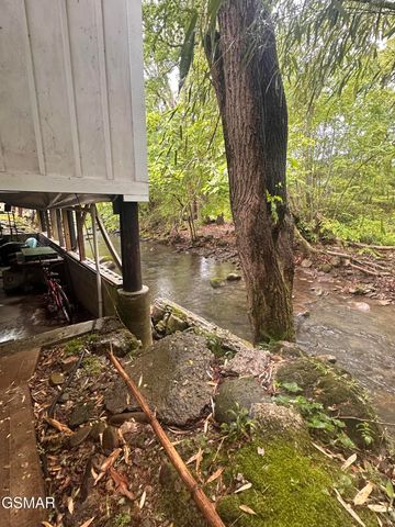 4445 Liberty Road, Cosby, TN 37722