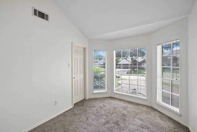 16022 Sugar Tree Drive, Houston, TX 77070