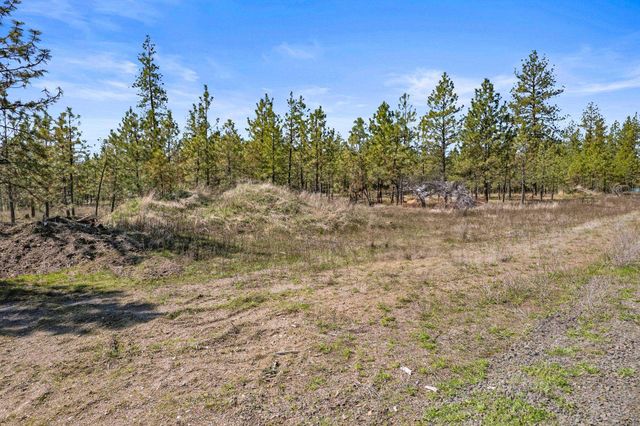 5742 Corkscrew Canyon Rd, Tumtum, WA 99034