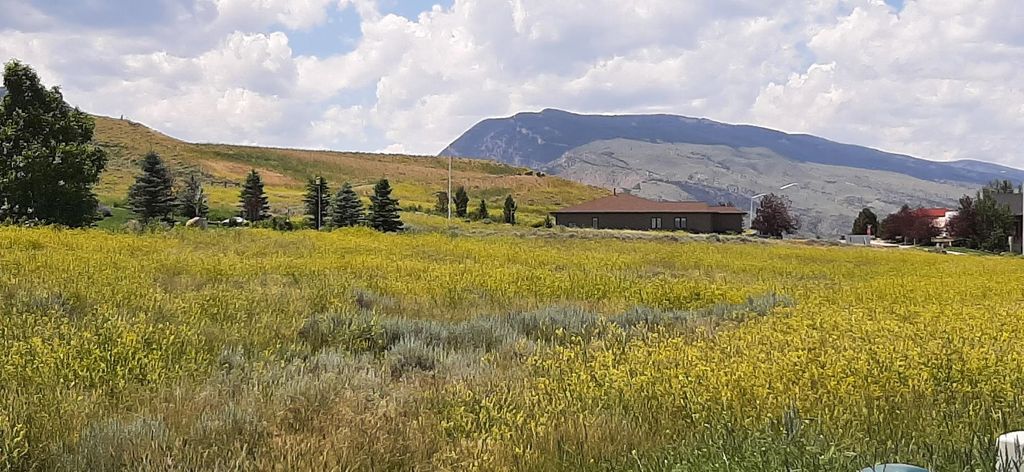 714 Olive Glenn Dr, Cody, WY 82414 photo 2