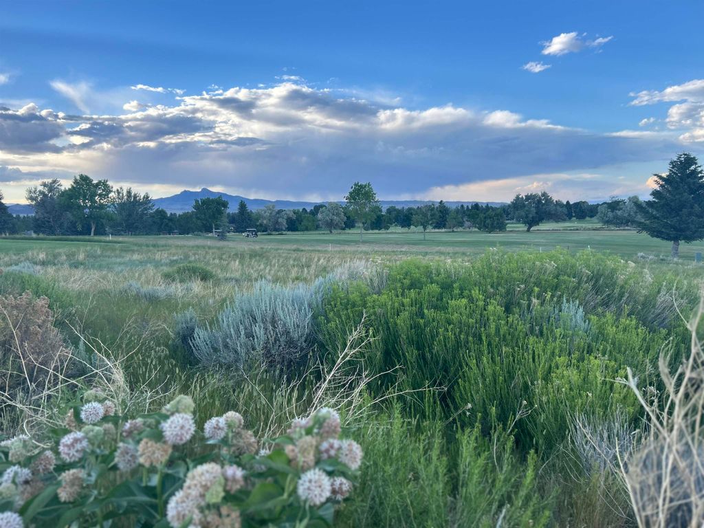 714 Olive Glenn Dr, Cody, WY 82414 photo 4