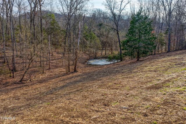 3870 Dulaney Road, Greeneville, TN 37743
