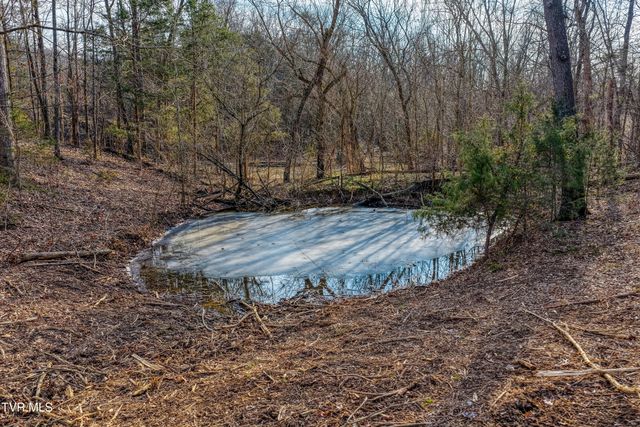 3870 Dulaney Road, Greeneville, TN 37743