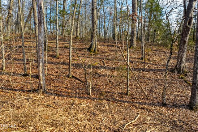 3870 Dulaney Road, Greeneville, TN 37743