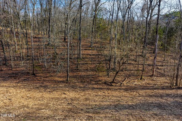 3870 Dulaney Road, Greeneville, TN 37743