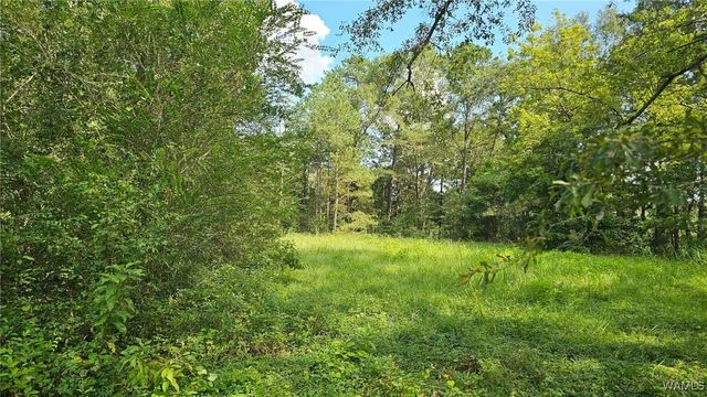 16761 SUNSHINE, Ralph, AL 35480