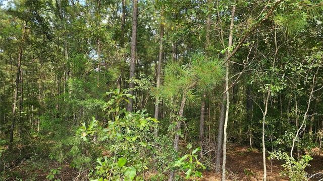 16761 SUNSHINE, Ralph, AL 35480