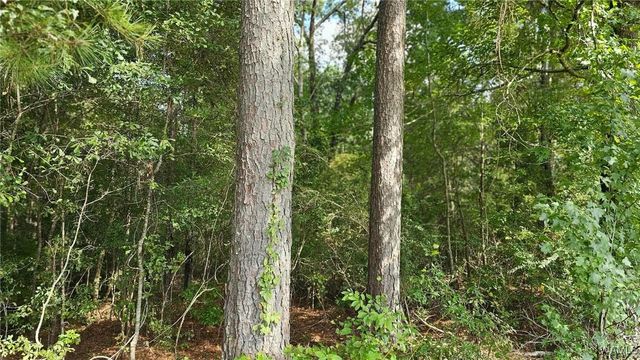 16761 SUNSHINE, Ralph, AL 35480