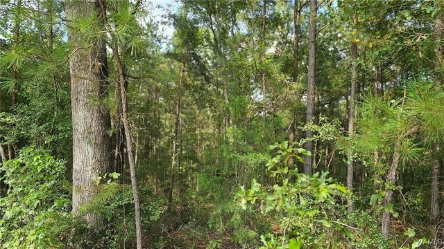 16761 SUNSHINE, Ralph, AL 35480